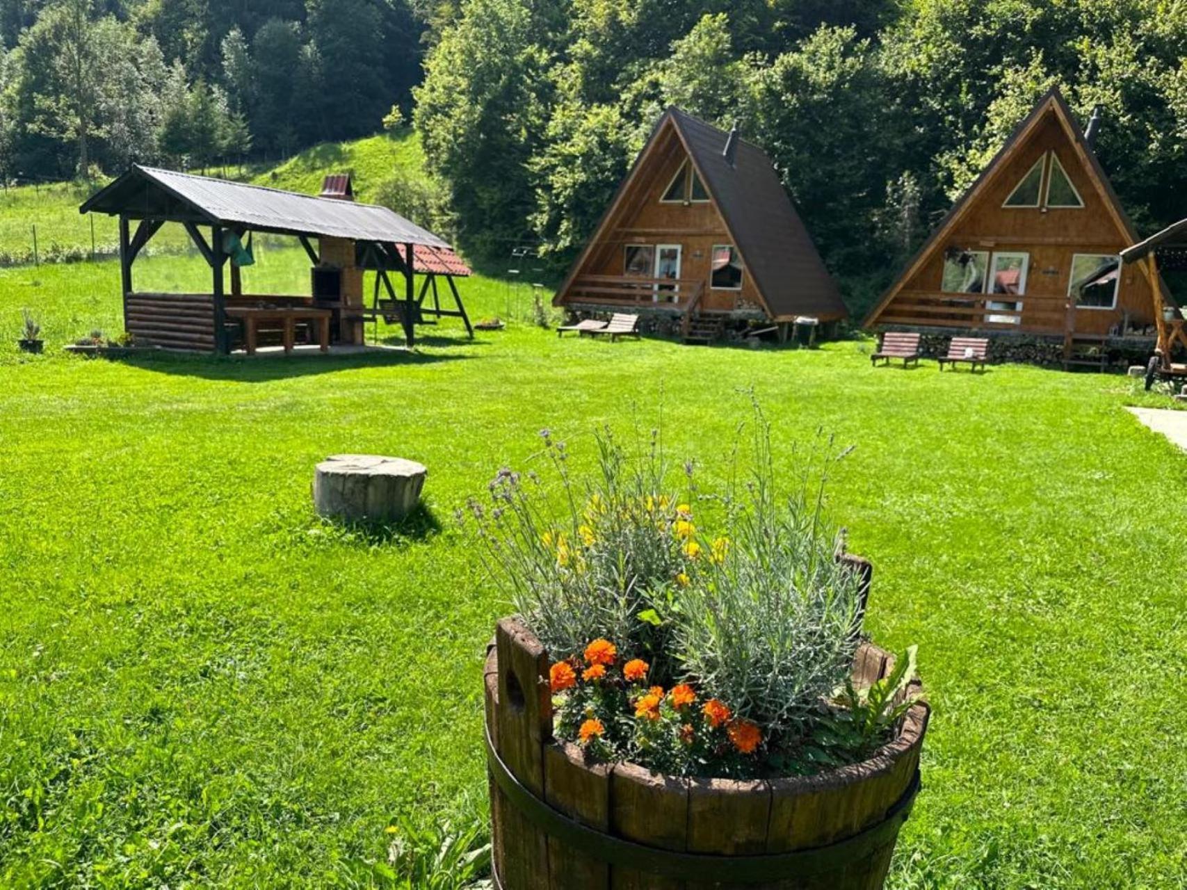 Willa Cabanutze Satic Rucăr Zewnętrze zdjęcie
