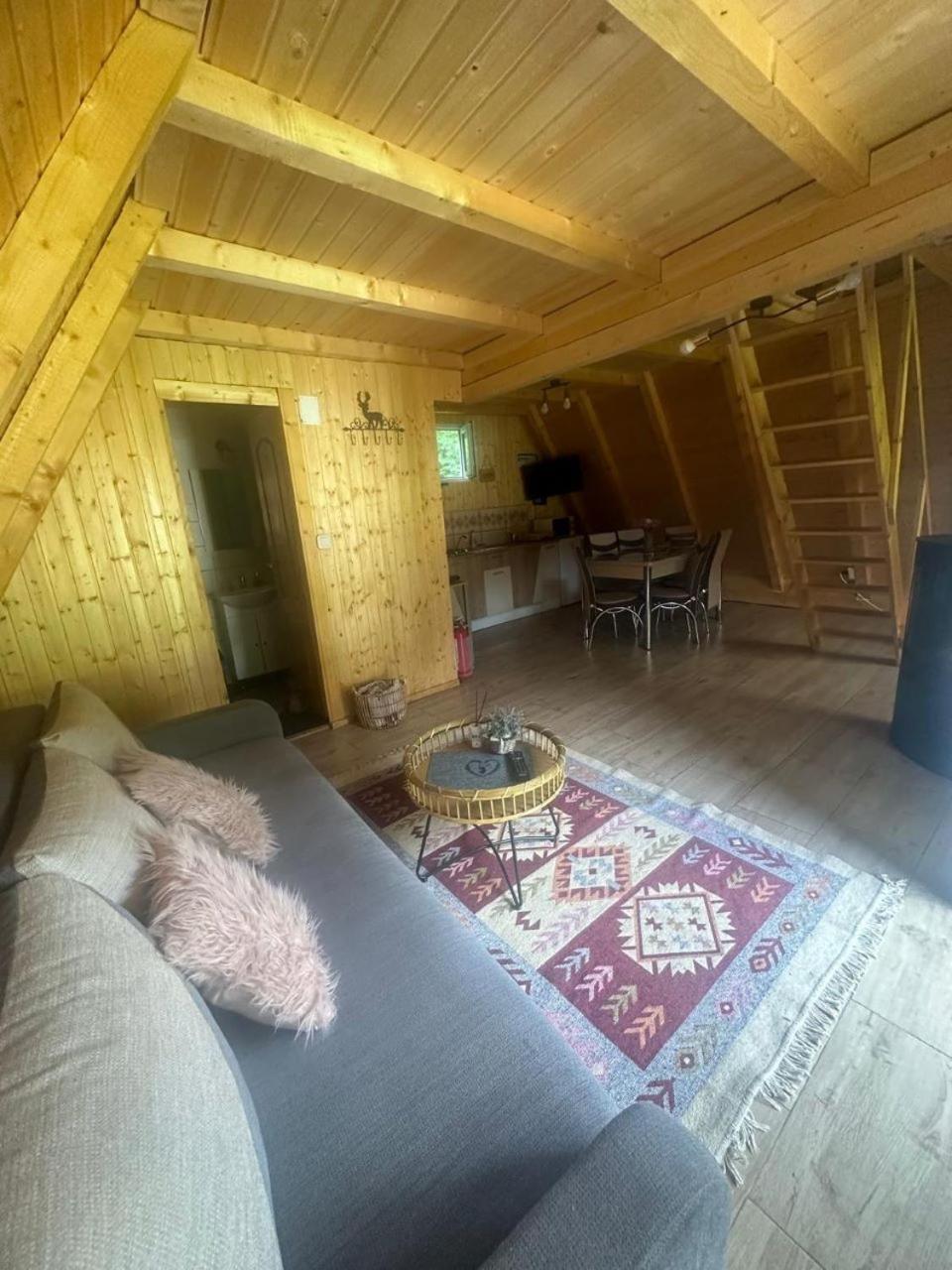 Willa Cabanutze Satic Rucăr Zewnętrze zdjęcie