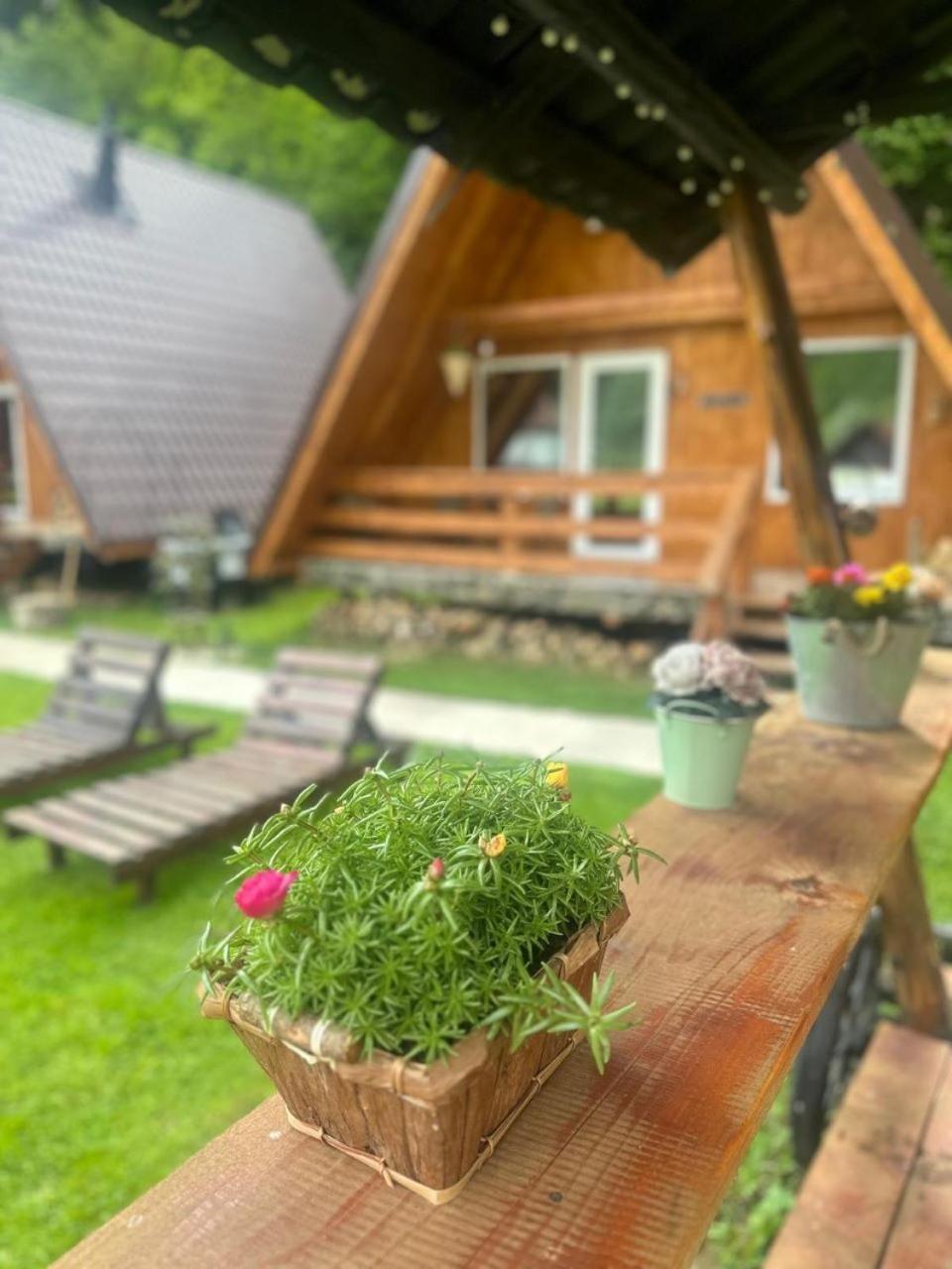 Willa Cabanutze Satic Rucăr Zewnętrze zdjęcie
