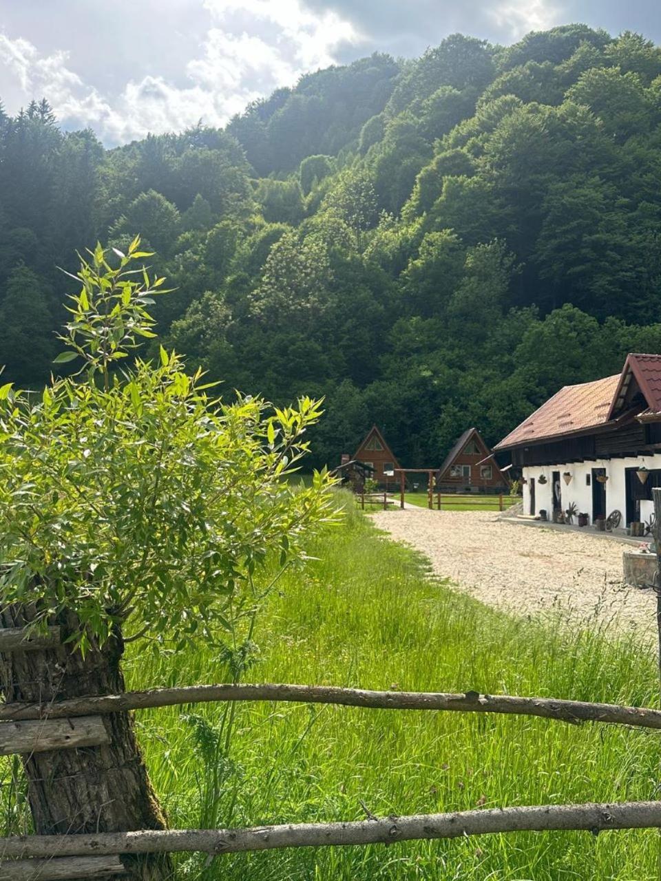 Willa Cabanutze Satic Rucăr Zewnętrze zdjęcie
