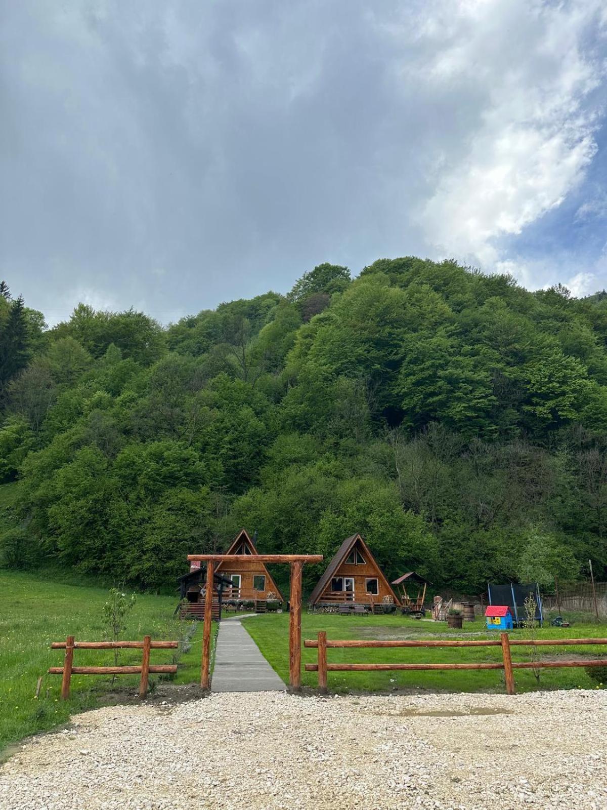 Willa Cabanutze Satic Rucăr Zewnętrze zdjęcie